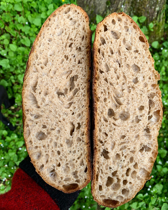 Best Classic Sourdough Bread Recipe - No Knead