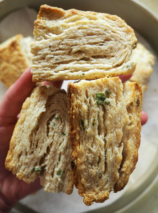 Flaky Herb Biscuits