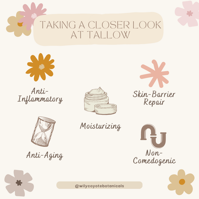 Taking a Closer Look at Tallow: How Animal Fat Can Benefit Your Skin and Health
